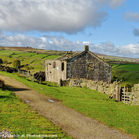Buy canvas prints of Ruins on the Bronte Way Yorkshire Dales  by Diana Mower