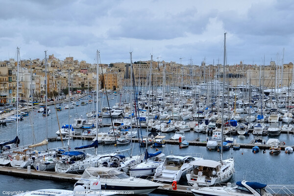 Valletta Harbour Marina Malta Picture Board by Diana Mower
