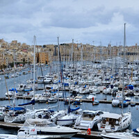 Buy canvas prints of Valletta Harbour Marina Malta by Diana Mower