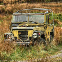 Buy canvas prints of Abandoned Land Rover by Diana Mower