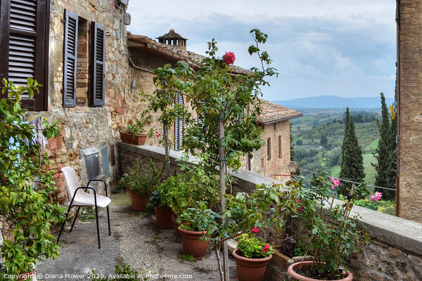 San Gimignano Tuscany Italy Picture Board by Diana Mower