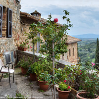 Buy canvas prints of San Gimignano Tuscany Italy by Diana Mower