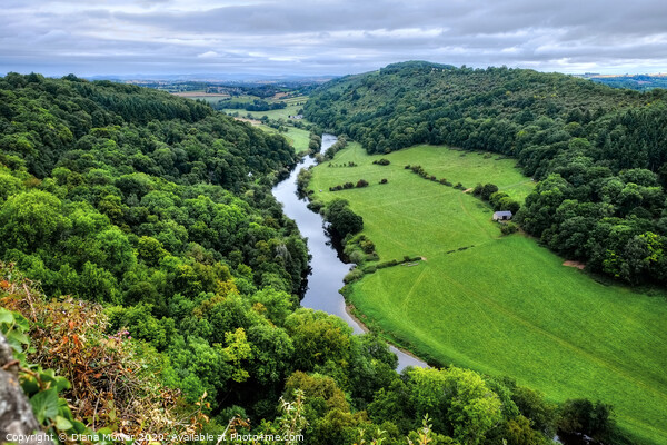 The River Wye at Symonds Yat Gloucestershire Picture Board by Diana Mower