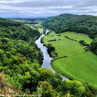 Buy canvas prints of The River Wye at Symonds Yat Gloucestershire by Diana Mower