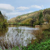 Buy canvas prints of The River Wye at Symonds Yat  by Diana Mower
