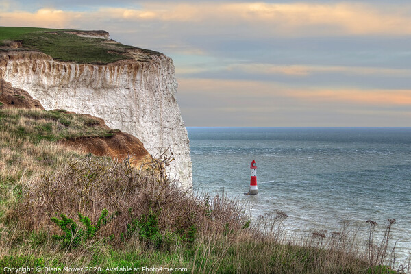 Beachy Head Sussex Picture Board by Diana Mower