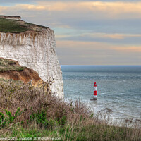 Buy canvas prints of Beachy Head Sussex by Diana Mower