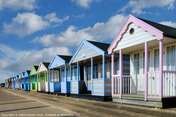 Southwold beach huts  Picture Board by Diana Mower