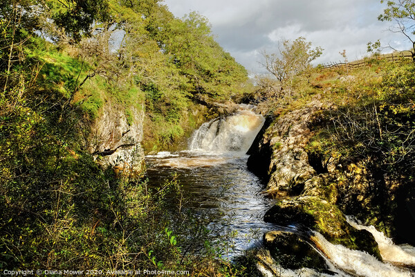 Beezley Falls Yorkshire Picture Board by Diana Mower