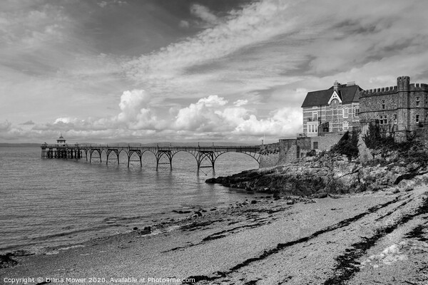 Clevedon Pier Somerset monochrome Picture Board by Diana Mower