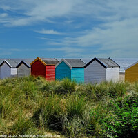 Buy canvas prints of Southwold huts on the beach Suffolk by Diana Mower