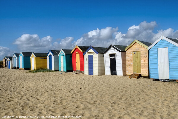 Southwold  Beach Huts on the Sand Picture Board by Diana Mower