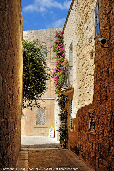 Mdina The Silent City Malta Picture Board by Diana Mower