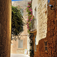 Buy canvas prints of Mdina The Silent City Malta by Diana Mower