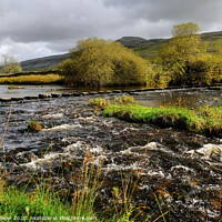 Buy canvas prints of River Doe Stepping stones Yorkshire Dales by Diana Mower