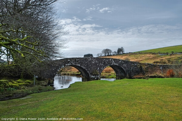 Old road bridge Two Bridges Dartmoor  Picture Board by Diana Mower