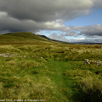 Buy canvas prints of Yorkshire Dales Whernside  Landscape by Diana Mower