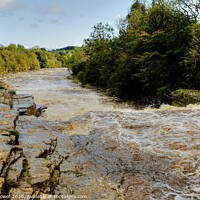 Buy canvas prints of Aysgarth Lower Falls in flood by Diana Mower