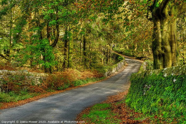 Yorkshire Dales Country Road Picture Board by Diana Mower