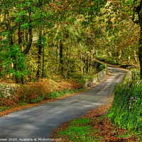 Buy canvas prints of Yorkshire Dales Country Road by Diana Mower