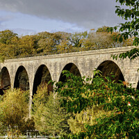 Buy canvas prints of Ingleton Viaduct Yorkshire Dales by Diana Mower