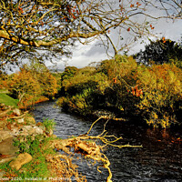 Buy canvas prints of The River Greta at Ingleton Yorkshire by Diana Mower