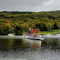 Buy canvas prints of The tern arriving at Lakeside,  Windermere at the  by Diana Mower
