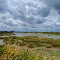 Buy canvas prints of  The Walton Backwaters Essex by Diana Mower