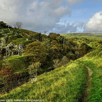 Buy canvas prints of Ingleton Yorkshire Dales by Diana Mower