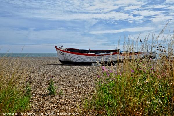 Aldeburgh Beach Suffolk Picture Board by Diana Mower