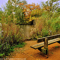 Buy canvas prints of  Epping Forest Seat by Diana Mower