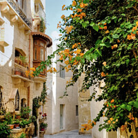Buy canvas prints of Rabat town Mdina Malta by Diana Mower