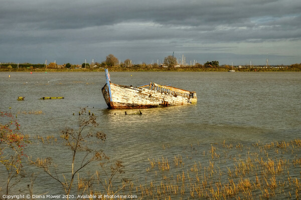 Ship wreck Maldon Essex  Picture Board by Diana Mower