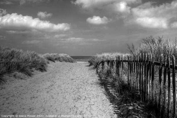 Mablethorpe beach Lincolnshire Monochrome Picture Board by Diana Mower