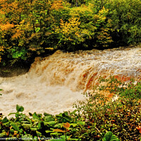 Buy canvas prints of Aysgarth Middle Falls Wensleydale Yorkshire by Diana Mower