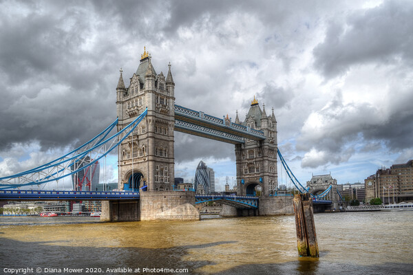 Tower Bridge London City  Picture Board by Diana Mower