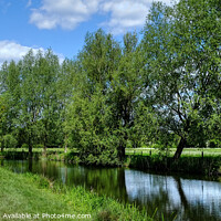 Buy canvas prints of  The River Stour at Dedham by Diana Mower
