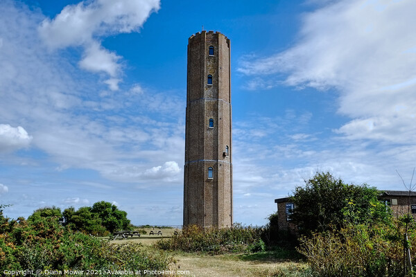 The Naze Tower Walton Essex Picture Board by Diana Mower