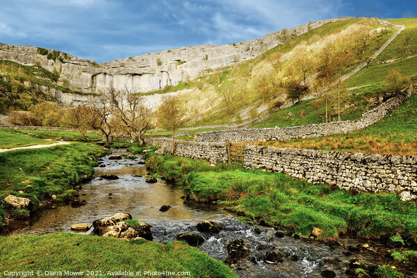 Malham Cove and Beck Yorkshire Dales Picture Board by Diana Mower
