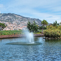 Buy canvas prints of Funchal Madeira Portugal by Diana Mower