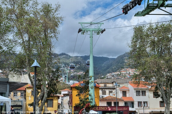 Funchal Cable Car Madeira Portugal Picture Board by Diana Mower