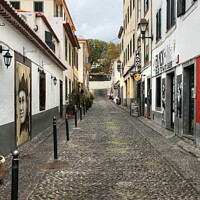 Buy canvas prints of Old Town Funchal Back Street Madeira by Diana Mower
