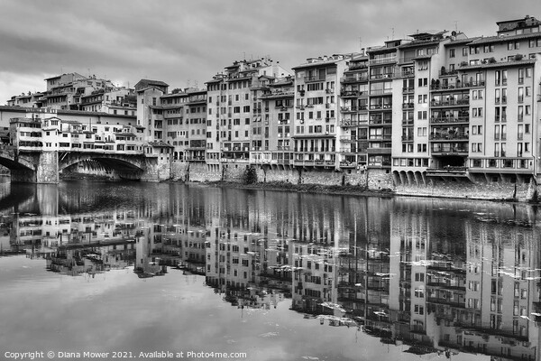 Ponte Vecchio over the Arno Florence in Monochrome Picture Board by Diana Mower