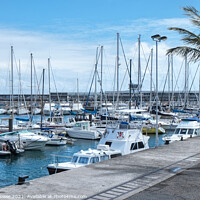 Buy canvas prints of Leisure boats in the Port of  Funchal Madeira by Diana Mower