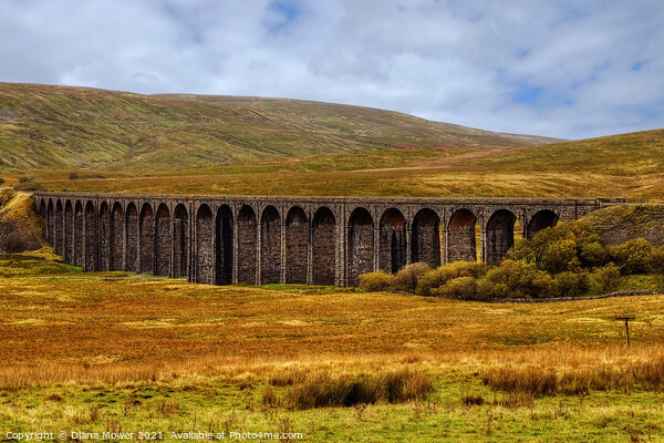 Ribblehead Viaduct Yorkshire Dales Picture Board by Diana Mower