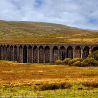 Buy canvas prints of Ribblehead Viaduct Yorkshire Dales by Diana Mower