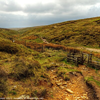 Buy canvas prints of Footpath to Pendle Hill Summit  by Diana Mower