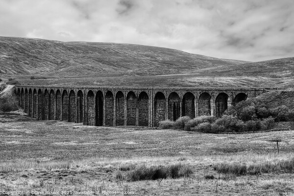 Ribblehead Viaduct Monochrome Picture Board by Diana Mower