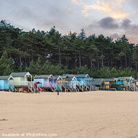 Buy canvas prints of Wells next the sea beach Huts at Sunset by Diana Mower