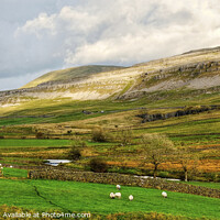 Buy canvas prints of White Scar and Ingleborough Yorkshire by Diana Mower